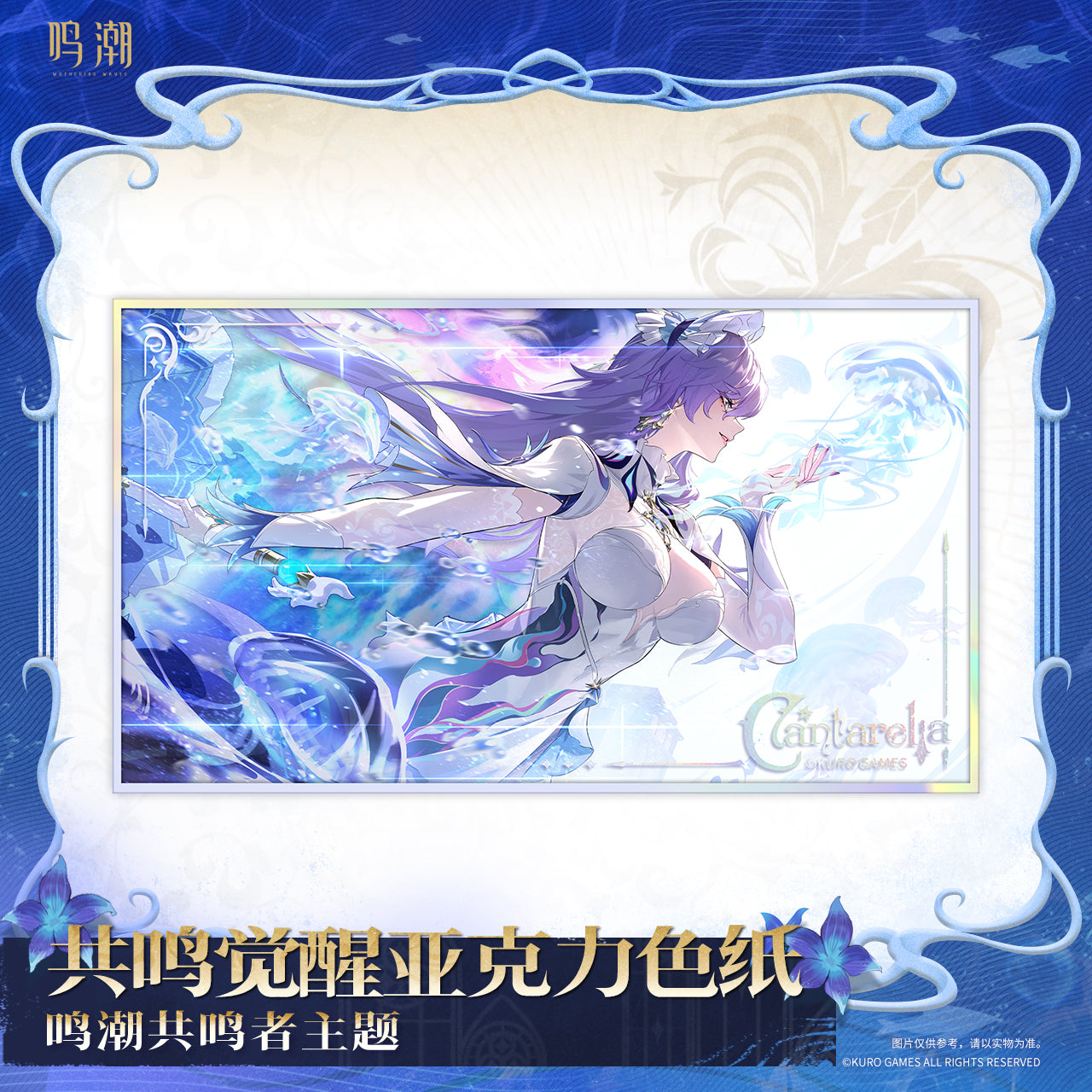 Resonator Theme Resonance Cantarella Awakening Acrylic Shikishi Cardboard