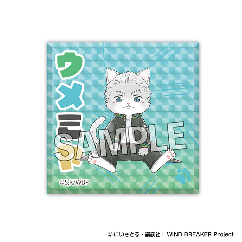 Wind Breaker Cat Ver. Glittering Acrylic Block