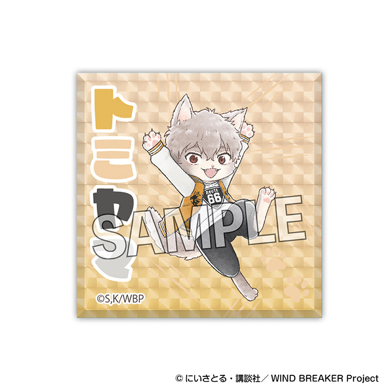 Wind Breaker Cat Ver. Glittering Acrylic Block