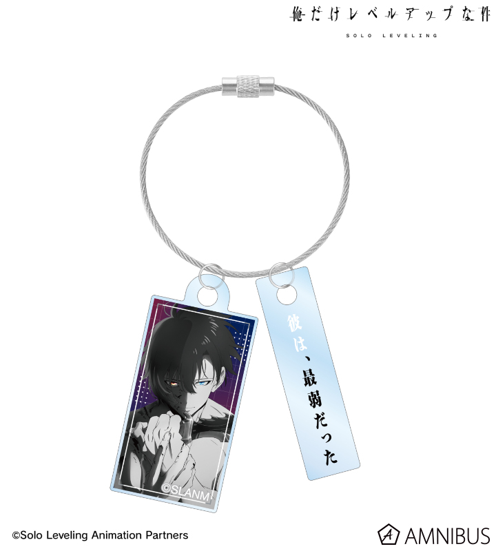 Solo Leveling Twin Wire Acrylic Keychain