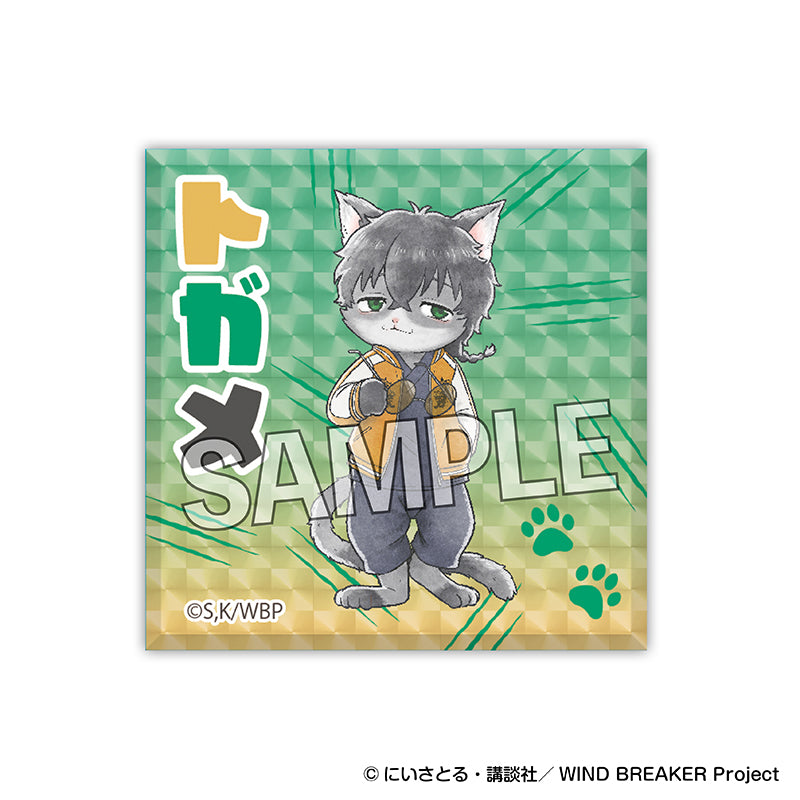Wind Breaker Cat Ver. Glittering Acrylic Block