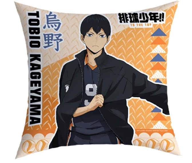 haikyu pillow ACG GO