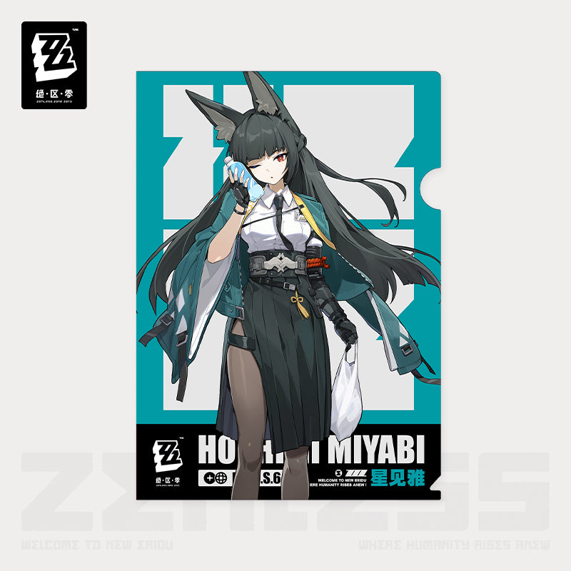 section 6 daily series character folders ACG GO