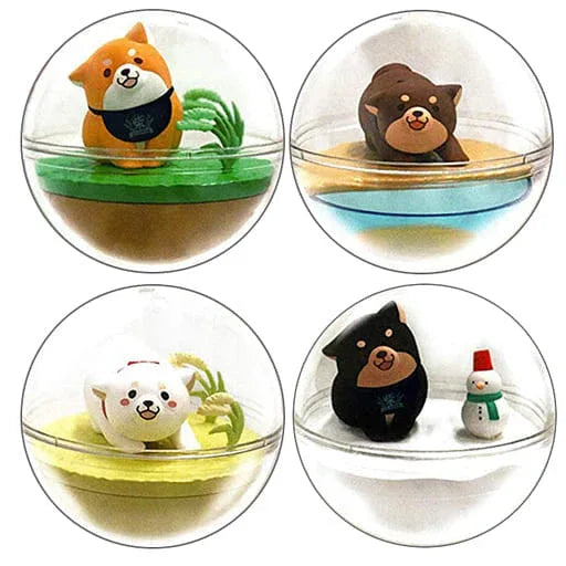 Caprium Collection Gashapon SK Japan Chuken Mochi Shiba Random One ACG Go Anime www.acg-go.com Gashapon, Goma, Okaka, Tuna, Ume