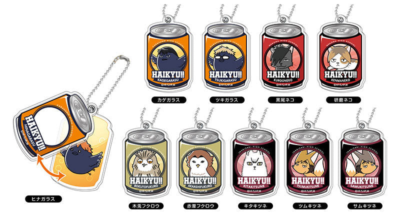 Haikyuu!! Container Arcylic Pendant Vol.1 Mystery Box