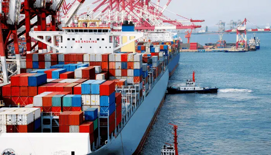 Shipping Delay Notice - Ocean Freight & U.S. Customs Update
