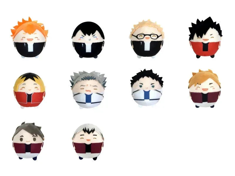 Speicla HQ-49 Mystery Box Round and Plush Hanging Pendant Haikyu!! Random One ACG Go Anime www.acg-go.com Mystery Box, Plush