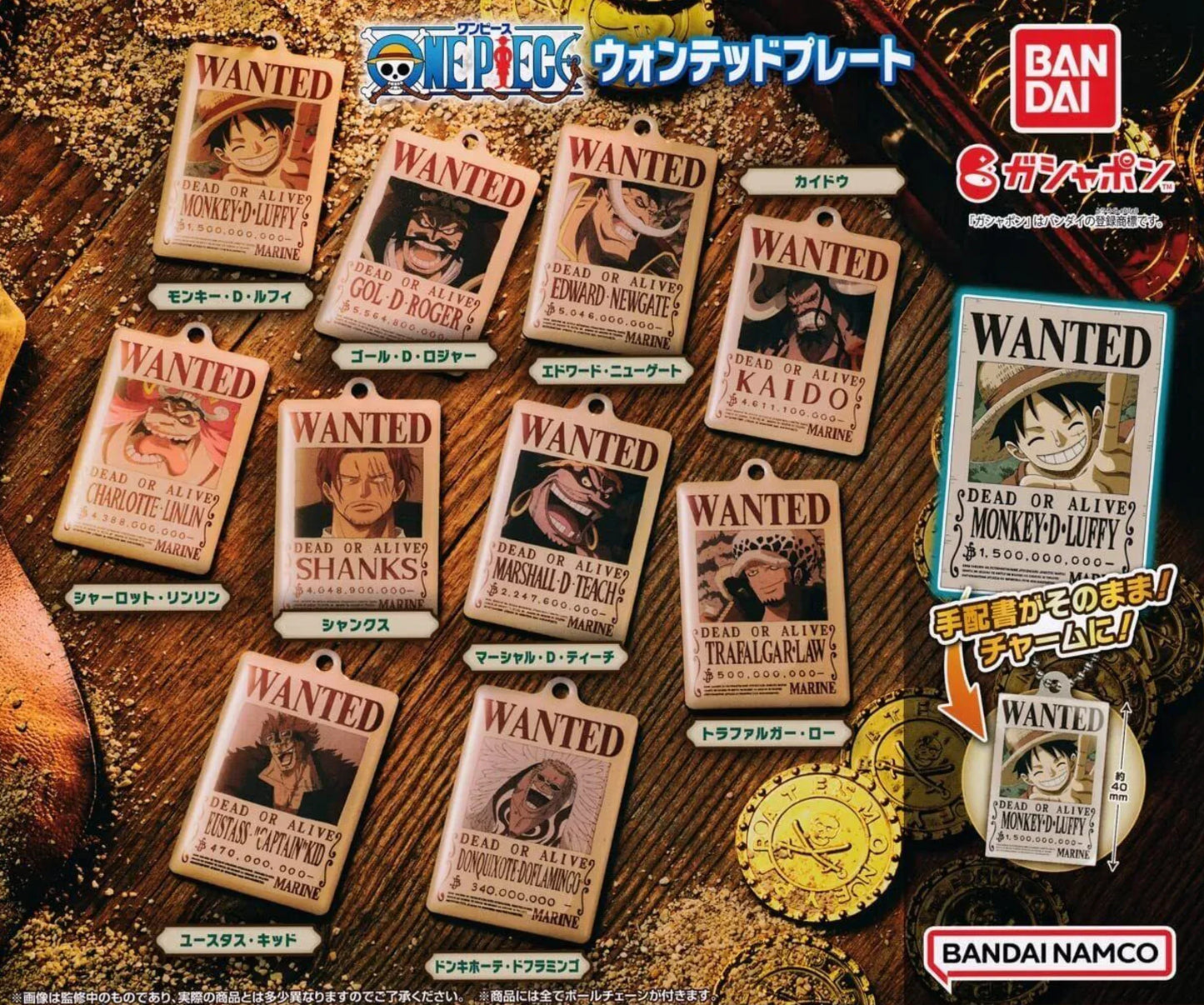Wanted Plate Collection Gashapon One Piece Random one ACG Go Anime www.acg-go.com Gashapon
