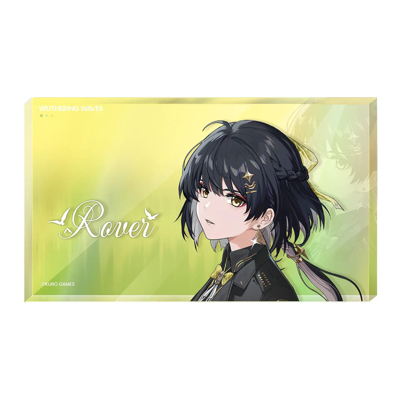 Wuthering Waves Resonator Theme Avatar Acrylic Ornament (Aemeath, Luuk Herssen)