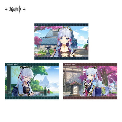 Character PV Series Photo Card and Album - Inazuma