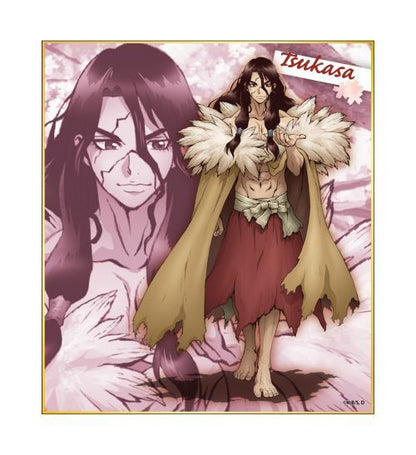 dr stone trading mini colored art board mystery box ACG GO