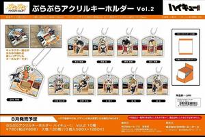 haikyuu shaking acrylic pendant vol 2 mystery box ACG GO