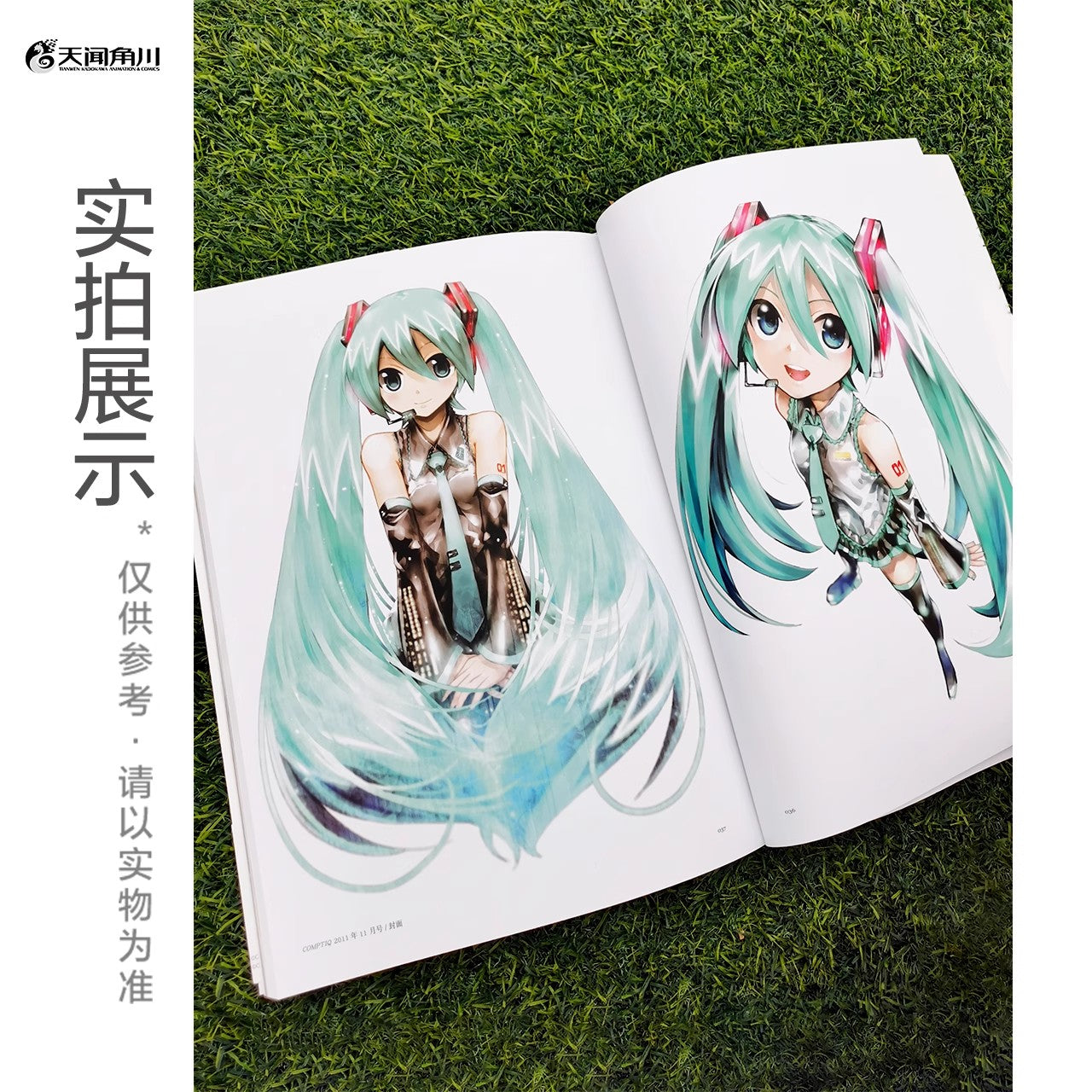 hatsune miku kei art works mikucolor ACG GO