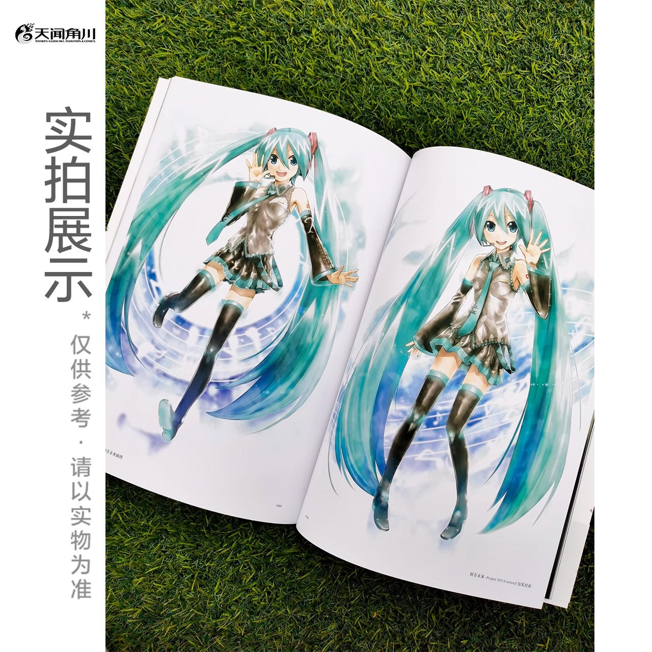 hatsune miku kei art works mikucolor ACG GO