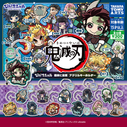 Pita! Hobby Acrylic Keychain Gashapon Demon Slayer: Kimetsu No Yaiba