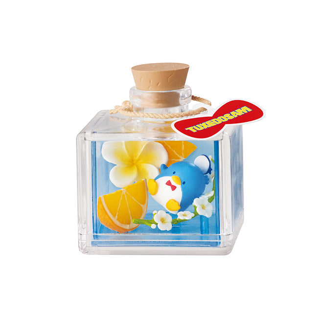 re ment fruit herbarium sanrio characters mystery box ACG GO