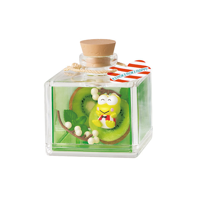 re ment fruit herbarium sanrio characters mystery box ACG GO