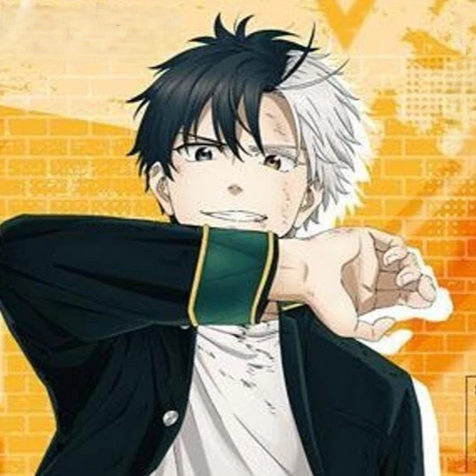 Wind Breaker Wind Guardian Series Glitter Quicksand Acrylic Ornaments