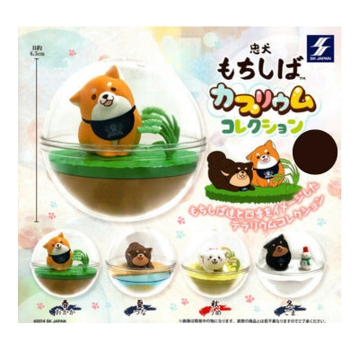 sk japan chuken mochi shiba caprium collection gashapon ACG GO