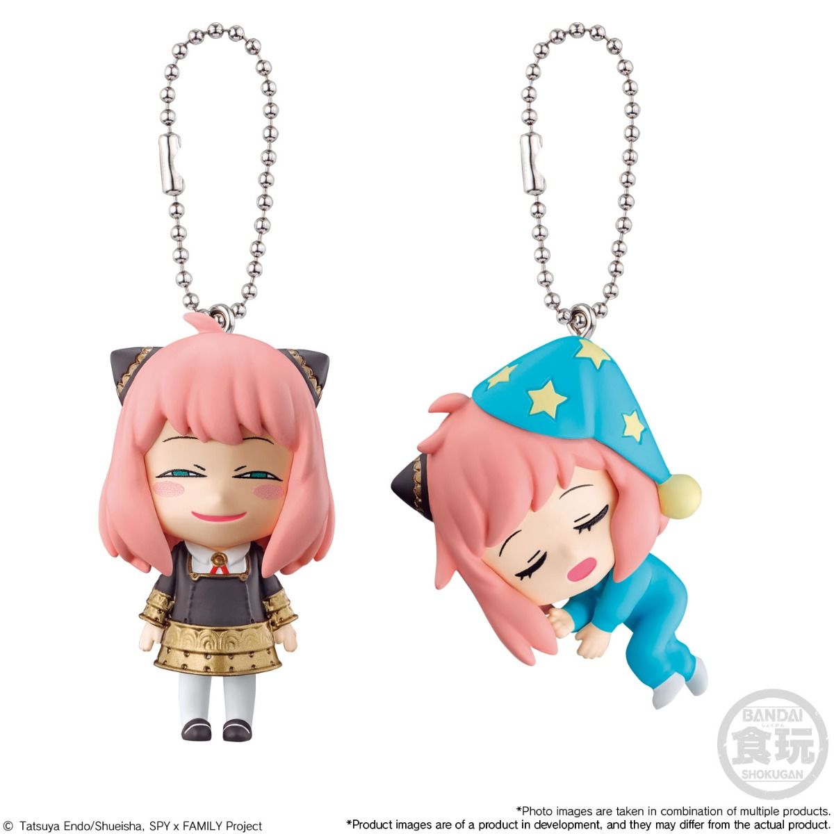 SPY × FAMILY Mascot Figure Pendant Mystery Box