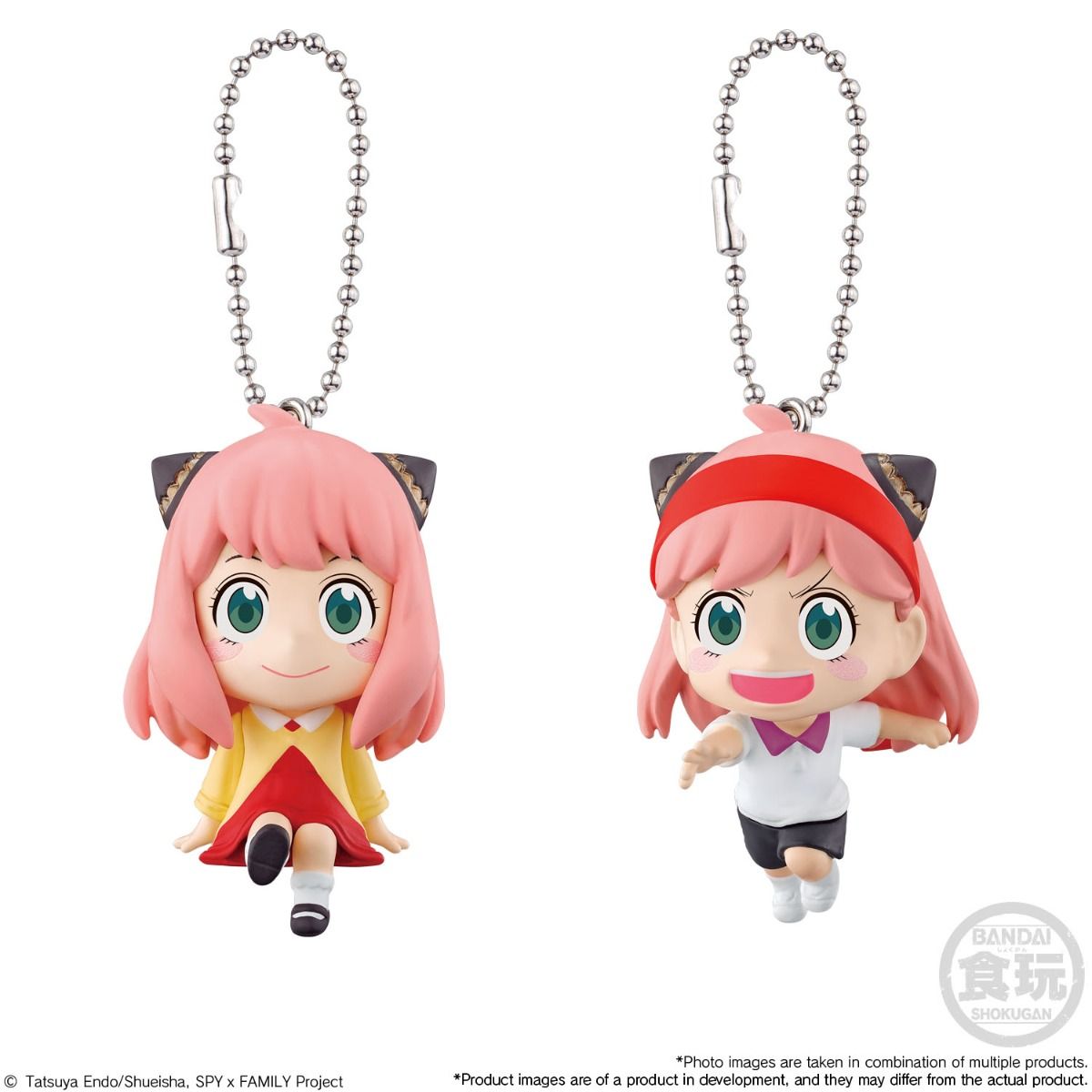 SPY × FAMILY Mascot Figure Pendant Mystery Box